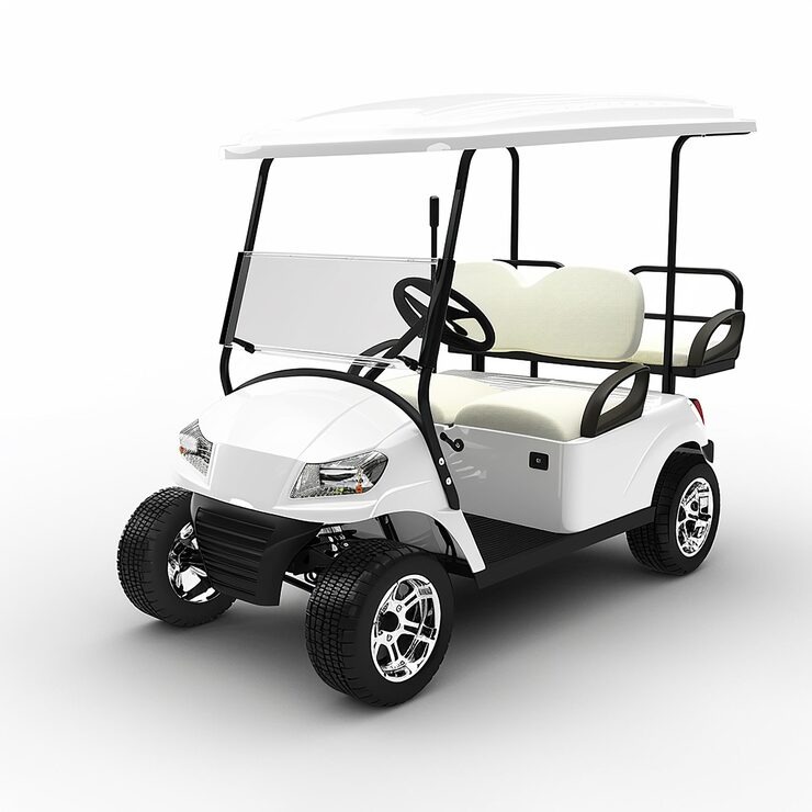 Heavy-Duty 48V Golf Cart Battery Charger